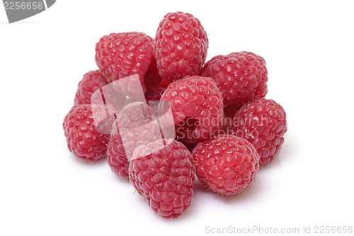 Image of Fresh raspberry