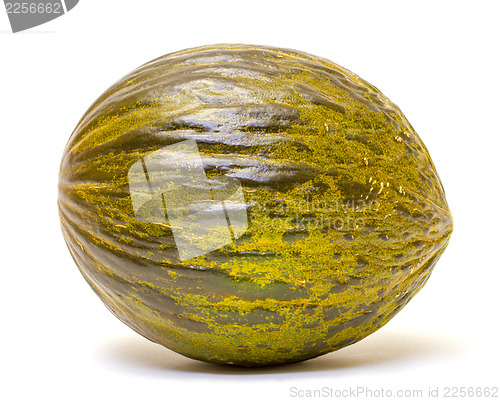 Image of Ripe melon