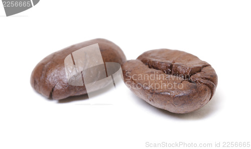 Image of Coffee beans closeup