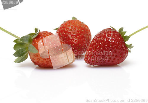 Image of Fresh strawberry