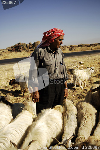 Image of Quneitara - Syrien