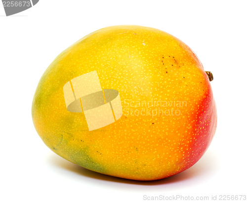 Image of Ripe mango 