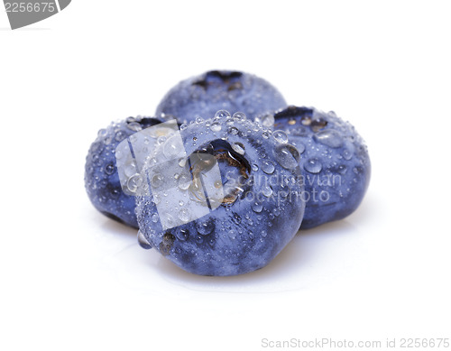 Image of Fresh blueberry 