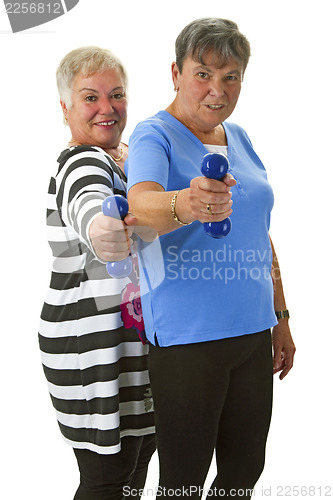 Image of Female seniors with dumbbell