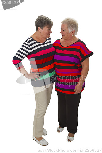 Image of Female senior friends