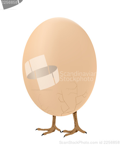 Image of Walking egg