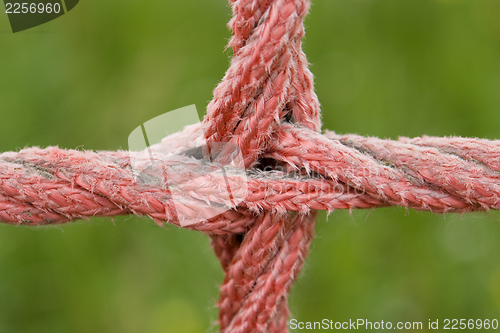 Image of red rope detail