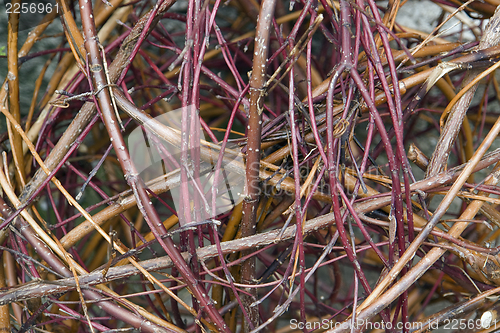 Image of lots of twigs