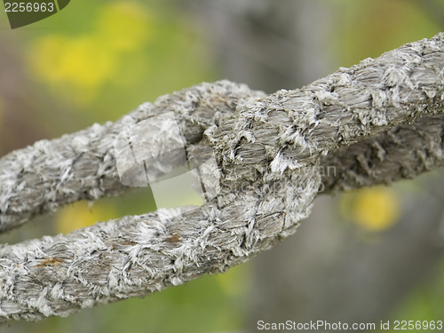 Image of old rope detail