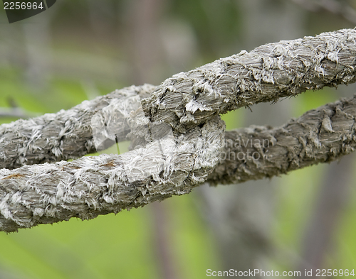 Image of old rope detail