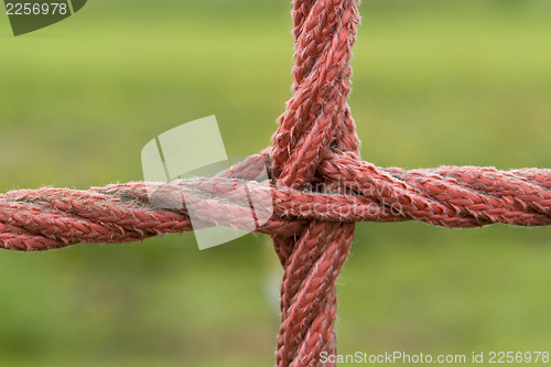 Image of red rope detail