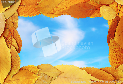 Image of abstract frame of golden leaves