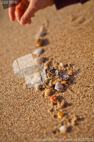 Image of Playing with shells