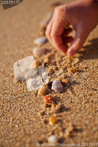 Image of Playing with shells