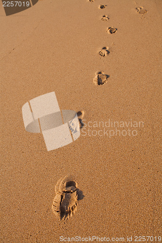 Image of Footprints in sand