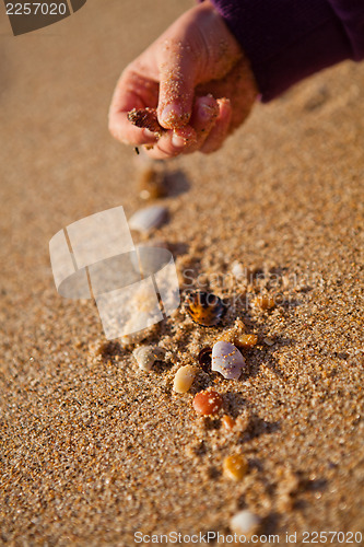 Image of Playing with shells