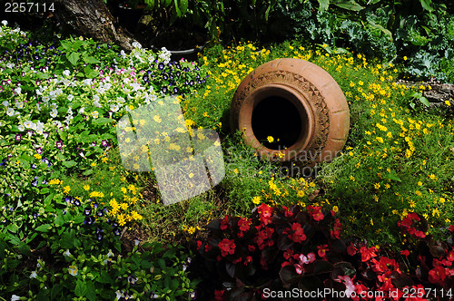 Image of Flower garden