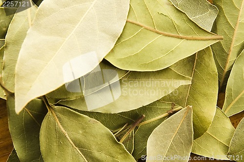 Image of bay leafs