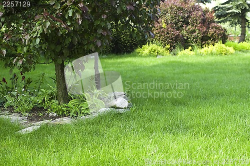 Image of peaceful garden