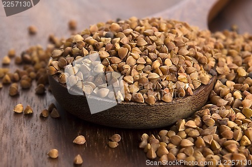 Image of Buckwheat seeds on wooden spoon in closeup 