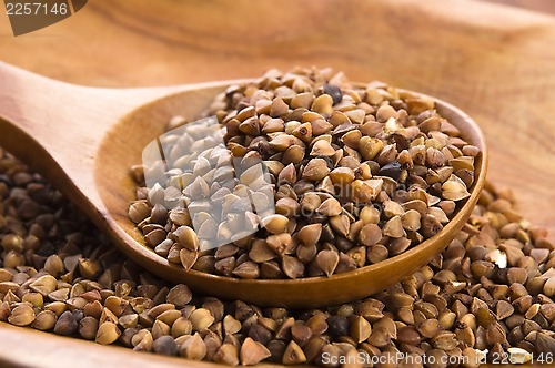 Image of Buckwheat seeds on wooden spoon in closeup 