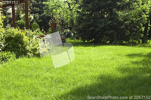 Image of peaceful garden