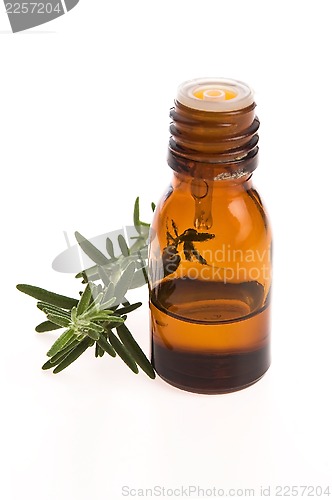 Image of Rosemary oil