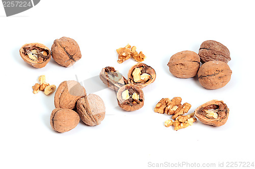 Image of Walnuts