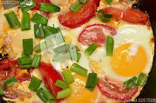 Image of Fried egg