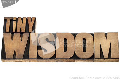 Image of tiny wisdom in wood type