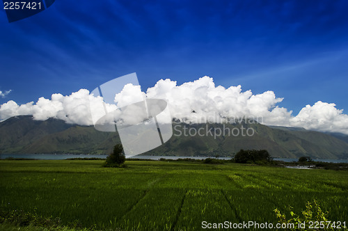 Image of Village Landscape, Samosir Island.