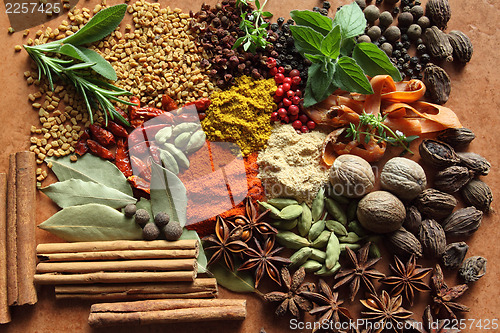 Image of Herbs and spices