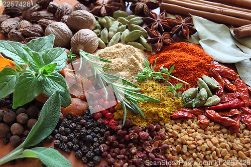 Image of Herbs and spices