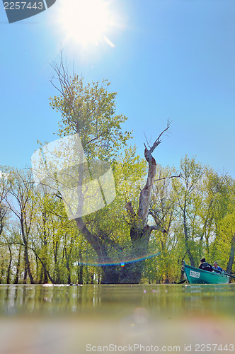 Image of boat in summer on danube river