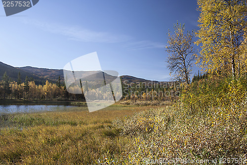 Image of  landscape 