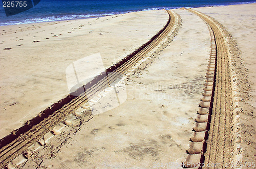 Image of Vehicle tracks in the sand on the beach