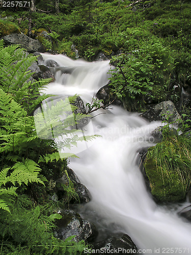 Image of mountain stream 