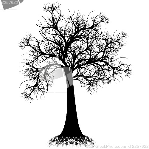 Image of Art tree silhouette 