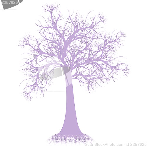Image of Art tree silhouette 