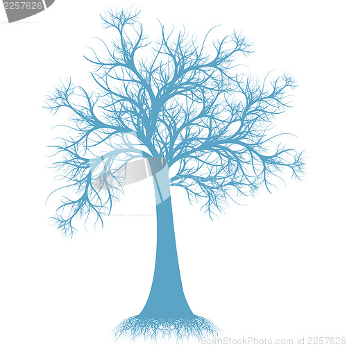 Image of Art tree silhouette 