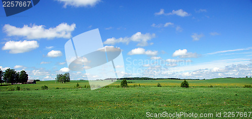 Image of Landscape