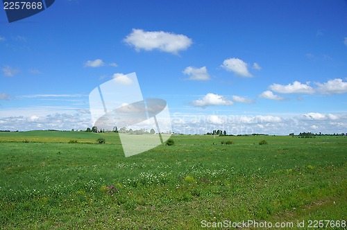 Image of Field