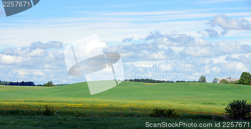 Image of Meadow and clouds