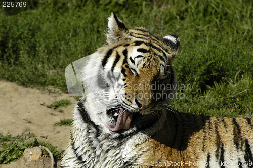 Image of Wash time