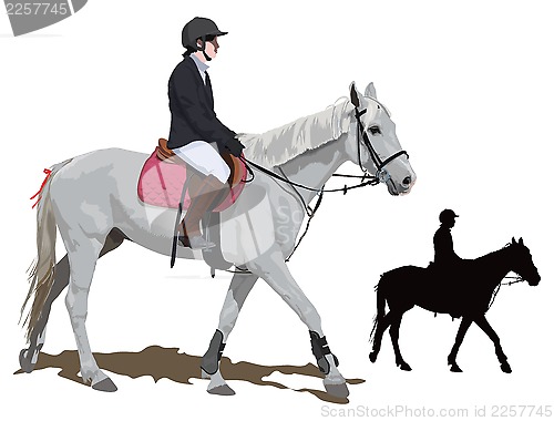 Image of White horse and lady jockey