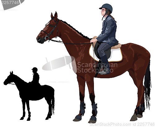 Image of Horse with lady jockey