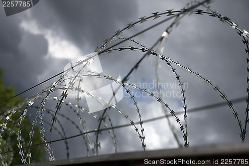 Image of barbed wire,