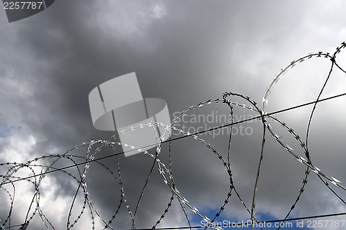 Image of barbed wire,