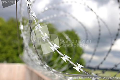 Image of barbed wire,