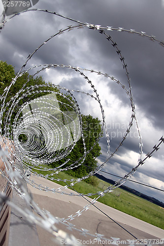 Image of barbed wire,